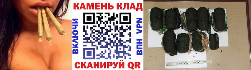 где можно купить   Данков  ГАШ Premium 