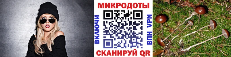 Галлюциногенные грибы MAGIC MUSHROOMS купить наркоту Данков